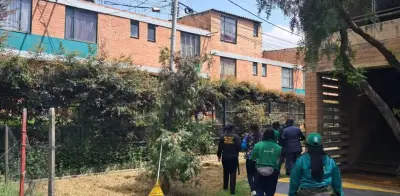 Tragedia en colegio de Ciudad Bolívar: perros protegidos por estudiantes mueren en presunto envenenamiento