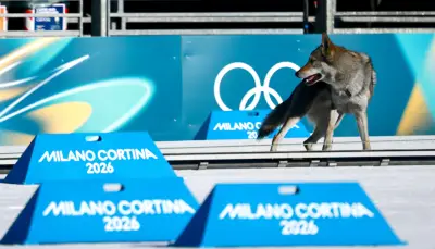 Un perro lobo irrumpe en los Juegos Olímpicos de Invierno 2026 y roba el espectáculo