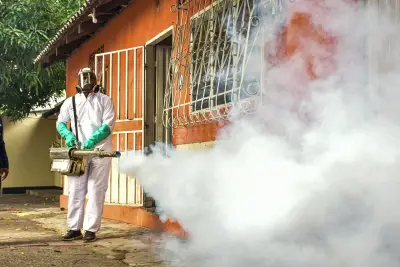 Valledupar enfrenta brote de dengue con 305 casos reportados en 2026