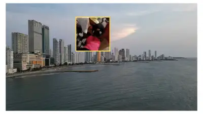 Violenta pelea entre masajistas en Cartagena por motivos pasionales captada en video viral