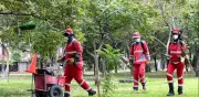 Alcaldía de Cali desmiente rumores: servicio de aseo opera con normalidad bajo nueve empresas