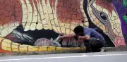 Arte urbano con conciencia: 'Bacho' pinta mural de 83 m² sobre biodiversidad en la vía Cali-Buenaventura