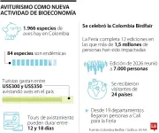 Aviturismo en Colombia: Observadores de aves gastan hasta US$350 diarios dinamizando economías locales