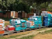 Bucaramanga entrega 70 millones en alimento a refugios animales para atender 577 perros y gatos