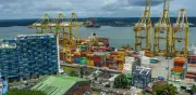 Buenaventura reduce congestión portuaria: ocupación de contenedores vacíos baja 68%