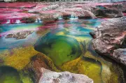 Caño Cristales: El Río de los Cinco Colores en Meta, Maravilla Natural de Colombia