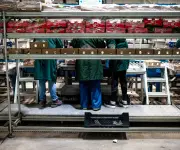 Cerezas chilenas enfrentan segunda temporada difícil en China por mal timing y menor poder adquisitivo