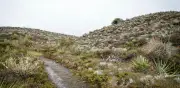 Conservación Internacional Colombia impulsa protección de páramos en Bogotá y Cundinamarca con proyectos estratégicos