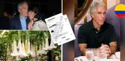 Correos de Epstein revelan interés en escopolamina colombiana para manipular voluntades