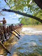 Córdoba enfrenta emergencia por desbordamientos: alertas rojas y naranjas en ríos San Jorge y Sinú