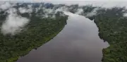 Crisis ambiental en Amazonía colombiana: carreteras ilegales, coca y ganadería devastan la selva