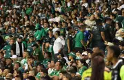 Deportivo Cali lanza preventa exclusiva para hinchas fieles ante Atlético Nacional