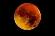 Eclipse lunar total teñirá la Luna de rojo en Colombia este 3 de marzo