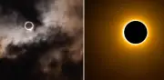 Eclipse solar 'Anillo de Fuego' iluminó la Antártida en febrero de 2026