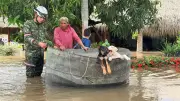 Ejército rescata más de 300 animales en inundaciones de Córdoba con apoyo veterinario de Cartagena