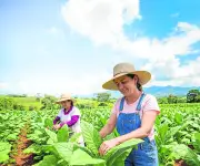 El Agro Colombiano Demuestra Resiliencia y Crecimiento Sostenido en Década Reciente
