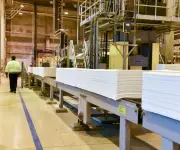 Empresarios uruguayos avanzan en proyecto de cuarta planta de celulosa con inversión de US$800 millones