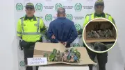 Golpe al tráfico de fauna: rescatan 27 loros ocultos en moto en Cundinamarca