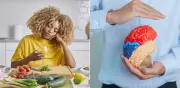 Hábitos alimenticios que dañan el cerebro: expertos revelan cómo mejorar la concentración
