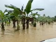 IDEAM alerta por inundaciones y deslizamientos en 455 municipios colombianos