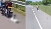 Indignación en Cesar: Hombre arrastra perro desde moto en movimiento en Bosconia