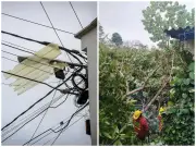 Intensas lluvias en Barrancabermeja dejan 23 familias damnificadas y múltiples emergencias