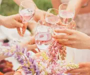 Japón ordena retiro de 40.000 botellas de vino chileno por aditivo no autorizado