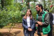 Jardín Botánico de Mariquita renace con alianza internacional para recuperar legado de Mutis