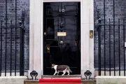Larry, el gato de Downing Street, cumple 15 años superando a primeros ministros británicos