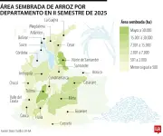 Lluvias en el Caribe amenazan 6.000 toneladas de arroz y afectan a miles de productores