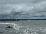 Más de 100 empresarios del Valle del Cauca participan en la Vitrina de Anato 2026