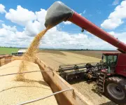 Paraguay proyecta cosecha récord de soja con más de 10 millones de toneladas