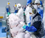 Perú inicia exportación de carne de pavo a Panamá con primer envío certificado