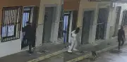 Perro frustra intento de secuestro en España al morder a atacante que gritaba 'Vente conmigo'