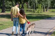 Rionegro organiza caminata canina solidaria para apoyar a damnificados y mascotas