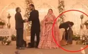 Robo audaz en boda de Jaipur: hombre se hace pasar por invitado y roba bolso de novia