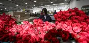 San Valentín se consolida en Colombia: comercio, experiencias y crédito impulsan la fecha