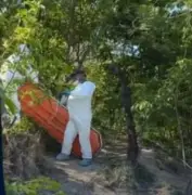 Santa Marta en luto: Hallan cuerpo de joven barbero colgado de un árbol en Altos del Yucal