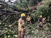 Torrenciales lluvias en Cali causan emergencias en múltiples barrios de la ciudad