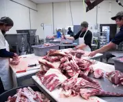 Uzbekistán abre su mercado a la carne bovina y ovina de Paraguay en acuerdo histórico