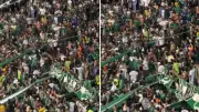 Violencia en Palmaseca: Hincha del Deportivo Cali herido gravemente tras pelea en tribuna