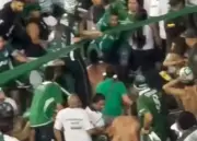 Violento enfrentamiento entre hinchas del Deportivo Cali empaña empate ante Millonarios