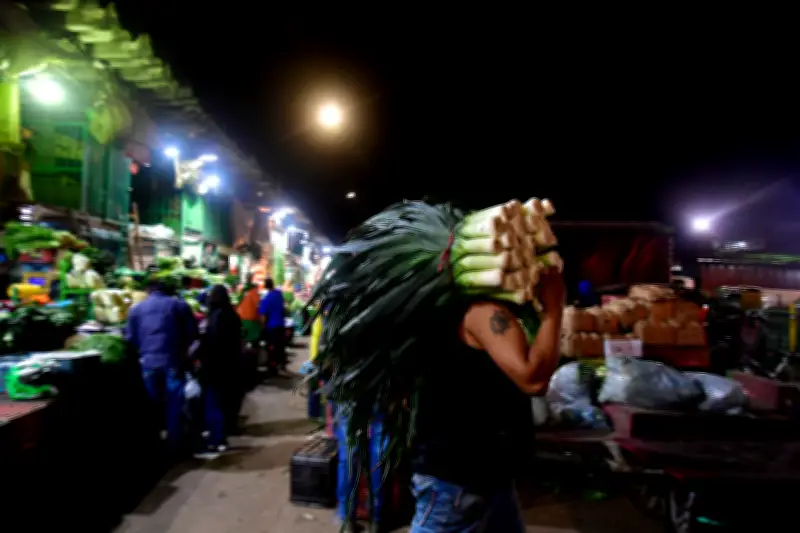 Abastecimiento de alimentos en Colombia crece 4,2% en febrero, liderado por pescados y lácteos