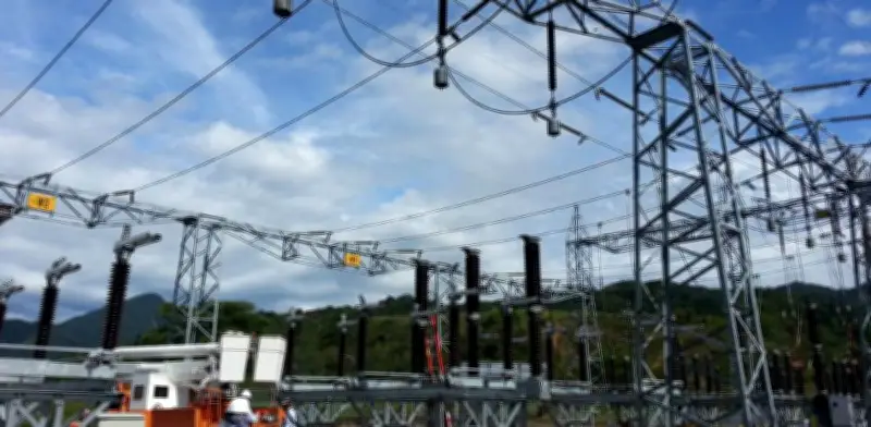 Accionistas minoritarios alertan sobre cambios en selección de directivos de Electrificadora del Meta