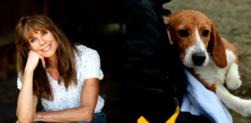 Actriz de 'Baywatch' arrestada tras rescatar perros de granja experimental en Wisconsin