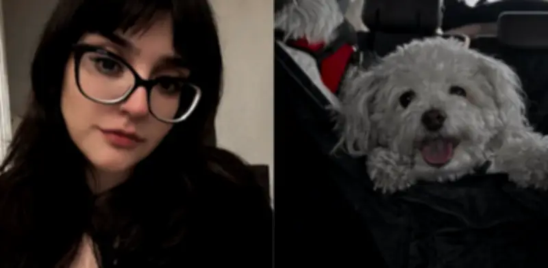 Actriz de doblaje de 'Demon Slayer' vende audios personalizados para pagar tratamiento de su perrita