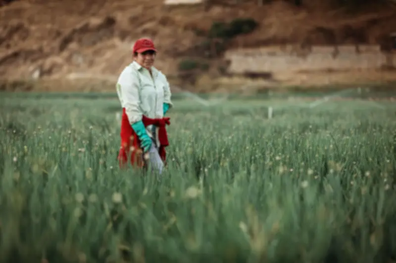 Agricultores lideran demanda laboral hacia 2030 según Foro Económico Mundial