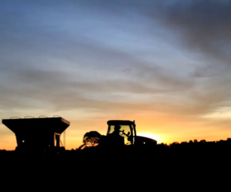 Agroindustria del aceite en Paraguay muestra recuperación con molienda récord de soja