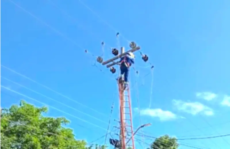 Air-e ejecutará poda técnica en Luruaco y cortes en Barranquilla por obras solares