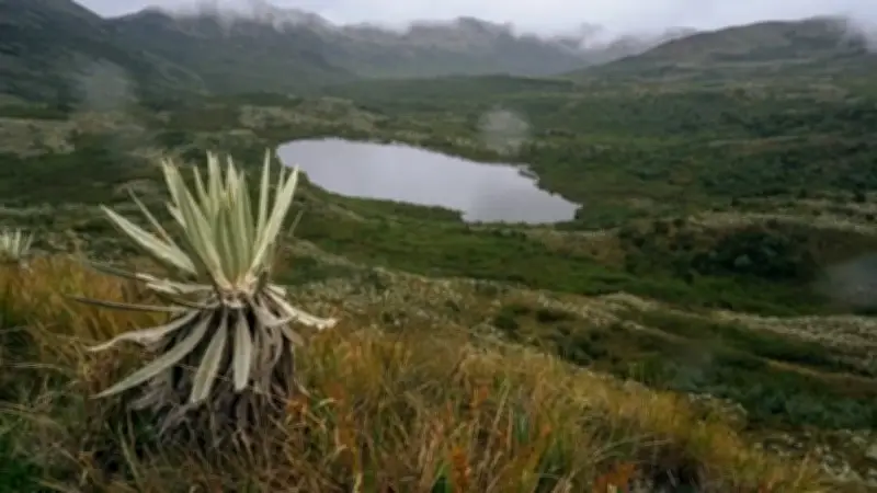 Alcalde de Fómeque investigado por presunta entrada irregular al páramo de Chingaza